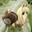 snail~chan