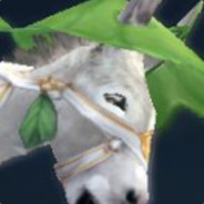 不时轻声地以藏话遮羞的川西高原丁真同学