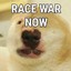 Evil Racist Doge