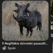 VEPRIS