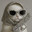 Monata