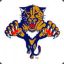 florida panthers