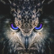 MÖRDER DER SCHATTEN