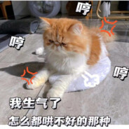 咆哮战猫呼噜噜