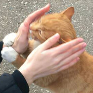 根本没有我那么辣