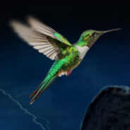 Avatar snapshot