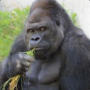 今天排骨打折吗