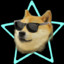 #Doge_Star