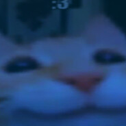 Vincza0621  CSGOSKINS