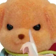 京东mall水友赛冠军