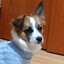 kiritoo