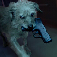 Görkem's avatar