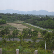 纯爱战神《单身版》