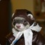 My Uncle&#039;s Ferret (Factory New)