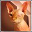 hux