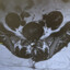 My Spine