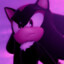 sonicshadows!