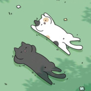 不要摸小猫咪的裤裆