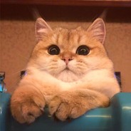 Big Avatar