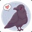 RavenHugg
