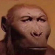 探店齁币多真假厨子说