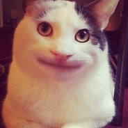 哈哈是我啦