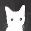 GATO FLASHEADO