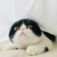 肯尼斯