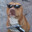 ♛   Cachorro Loko   ♛
