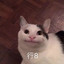 865842039