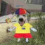 dog with hat