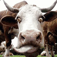 秀儿他哥哥教你摸牌