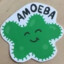 Amoeba