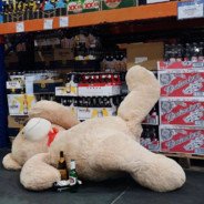 跟头像好看的人打招呼