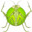 GIGAMANTIS