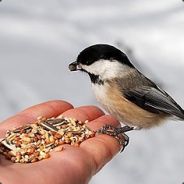 ♥postirai noski-vonyaet♥