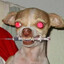 Totó