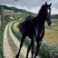 fu.ck them horses