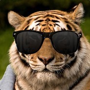 SwankyTiger's Avatar