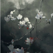 百无一用是情深