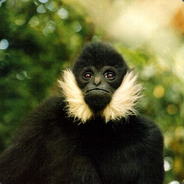 66666666666666666666666666666666