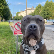 pk' - steam id 76561199014339180