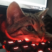 Дмитрий avatar