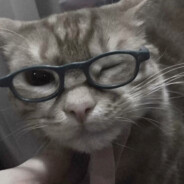 перфоратор - steam id 76561199678099800
