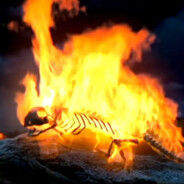 这是我最后一次变身了