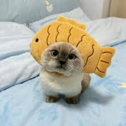 Karvinin's Avatar