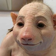 JESTEM POLAK JD100% I Kropka