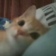 落枫