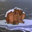 DingDing's avatar