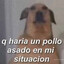 iSogue